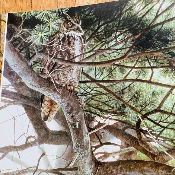 𝅺ROBERT Bateman book “the art of Robert Bateman” animals pictures navy blue - Picture 9 of 14